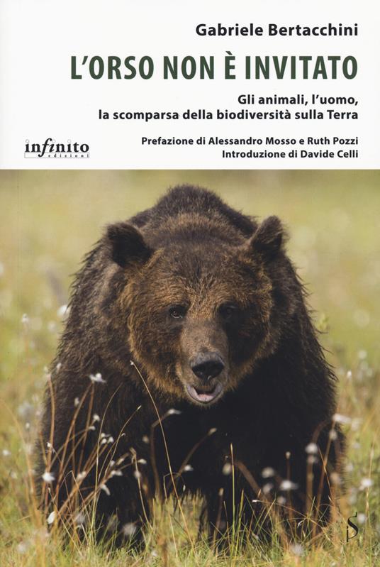 L'orso non è invitato. Gli animali, l’uomo, la scomparsa della biodiversità sulla Terra - Gabriele Bertacchini - copertina
