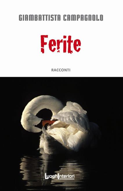 Ferite - Giambattista Campagnolo - copertina