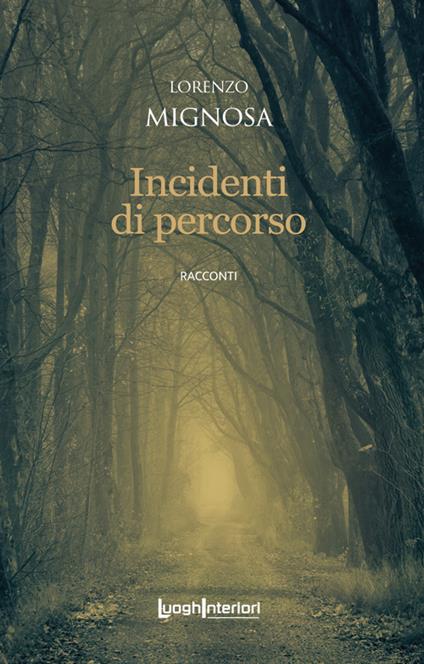 Incidenti di percorso - Lorenzo Mignosa - copertina