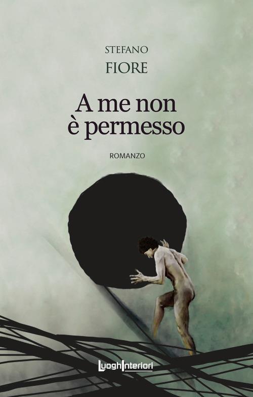 A me non è permesso - Sefano Fiore - copertina
