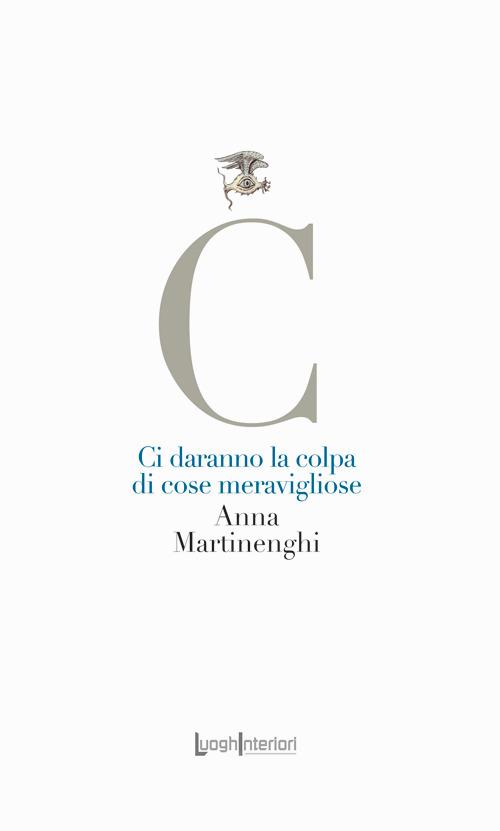 Ci daranno la colpa di cose meravigliose - Anna Martinenghi - copertina