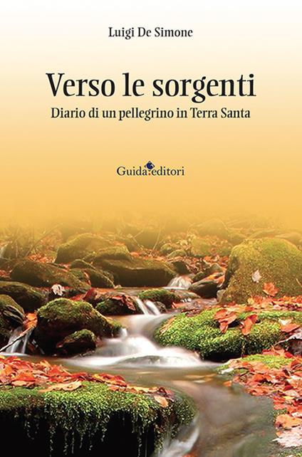 Verso le sorgenti. Diario di un pellegrino in Terra Santa - Luigi De Simone - copertina
