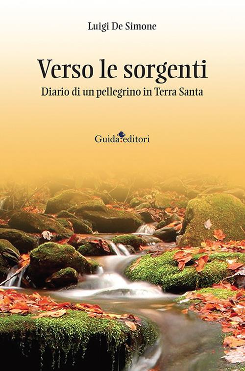 Verso le sorgenti. Diario di un pellegrino in Terra Santa - Luigi De Simone - copertina