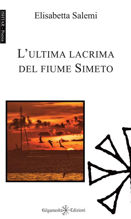 L' ultima lacrima del fiume Simeto. Con Libro in brossura - Elisabetta Salemi - copertina