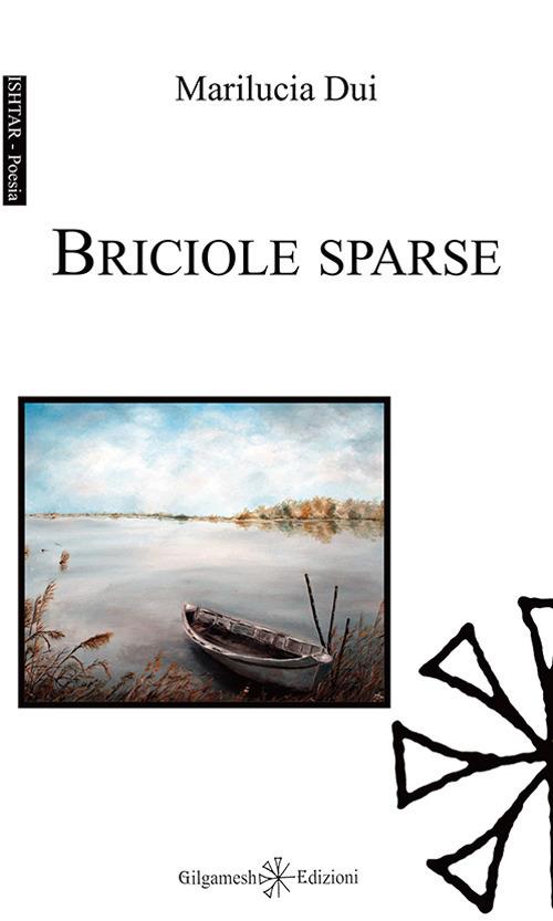 Briciole sparse. Con Libro in brossura - Marilucia Dui - copertina