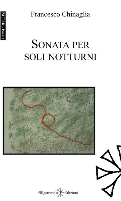 Sonata per soli notturni - Francesco Chinaglia - copertina