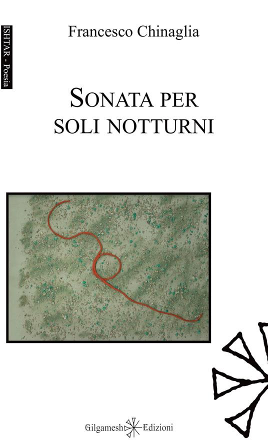 Sonata per soli notturni - Francesco Chinaglia - copertina