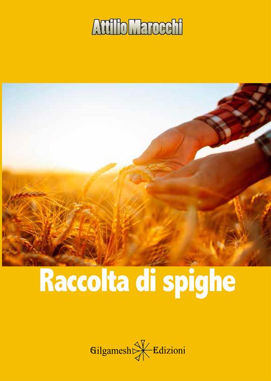 Raccolta di spighe - Attilio Marocchi - copertina