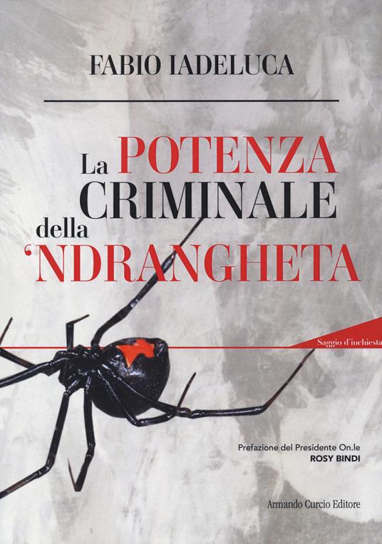 La potenza criminale della 'ndrangheta. Con QR-code - Fabio Iadeluca - copertina