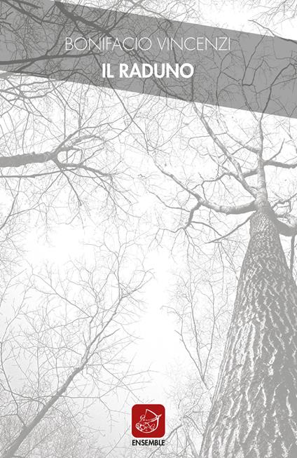 Il raduno - Bonifacio Vincenzi - copertina