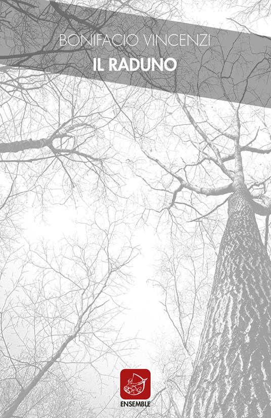 Il raduno - Bonifacio Vincenzi - copertina