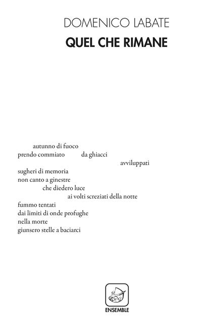 Quel che rimane - Domenico Labate - copertina