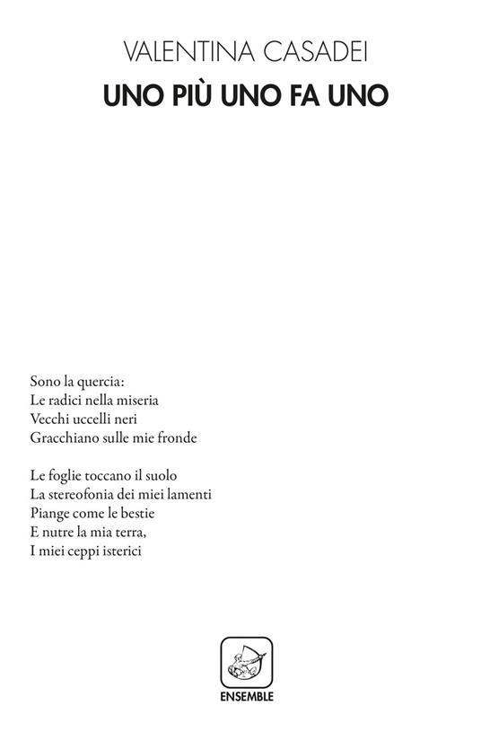 Uno più uno da uno - Valentina Casadei - copertina