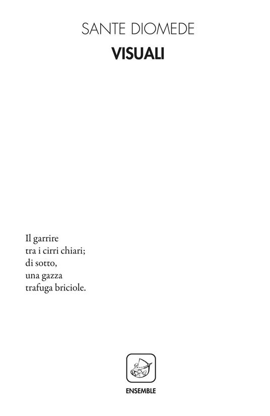 Visuali - Sante Diomede - copertina