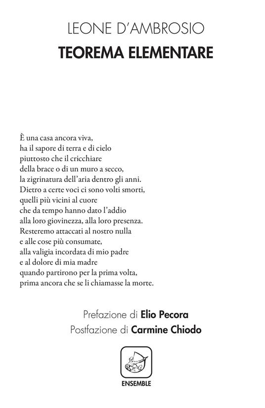 Teorema elementare - Leone D'Ambrosio - copertina