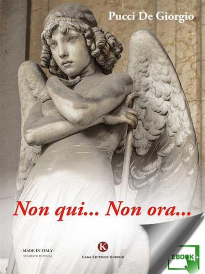 Non qui... Non ora... - Pucci De Giorgio - ebook