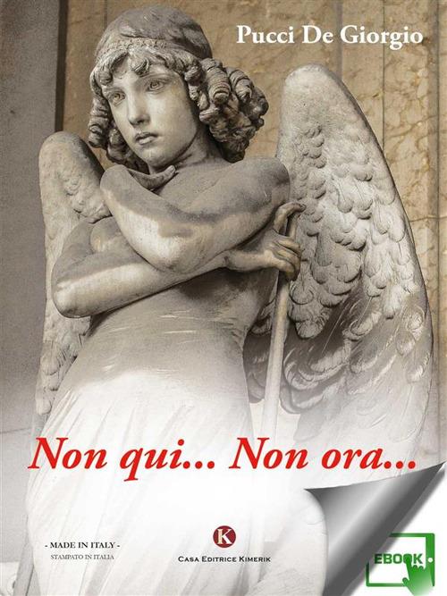 Non qui... Non ora... - Pucci De Giorgio - ebook