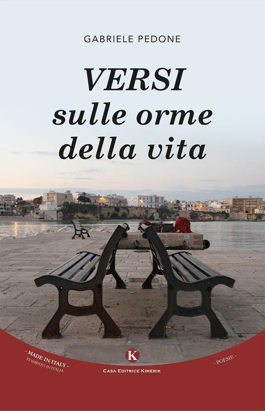 Versi sulle orme della vita - Gabriele Pedone - copertina