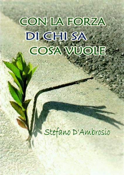 Con la forza di chi sa cosa vuole - Stefano D'Ambrosio - ebook