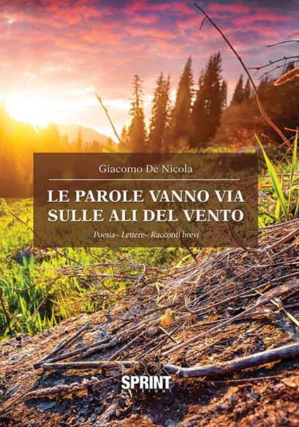 Le parole vanno via sulle ali del vento - Giacomo De Nicola - copertina