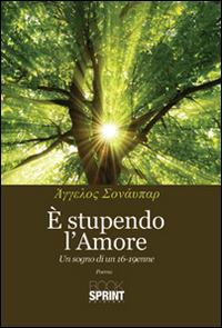 È stupendo l'amore - copertina