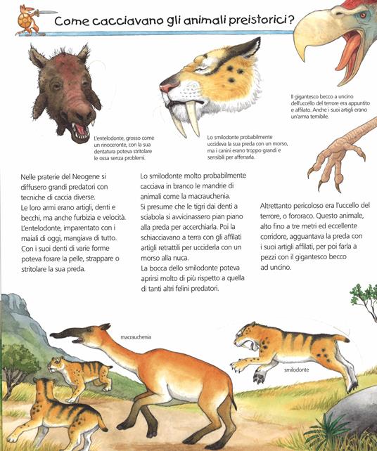 Gli animali preistorici. Ediz. illustrata - Patricia Mennen,Anne Ebert - 4