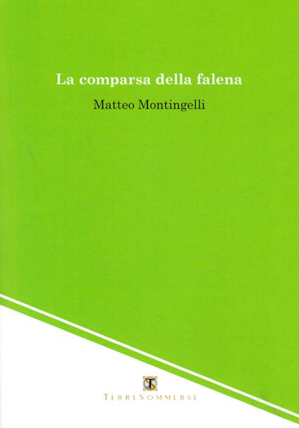 La comparsa della falena - Matteo Montingelli - copertina
