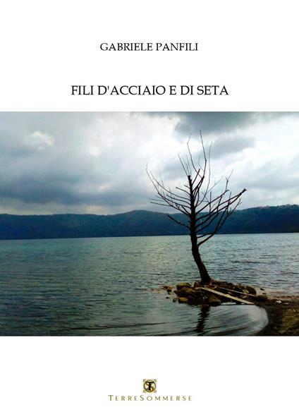 Fili d'acciaio e di seta - Gabriele Panfili - copertina