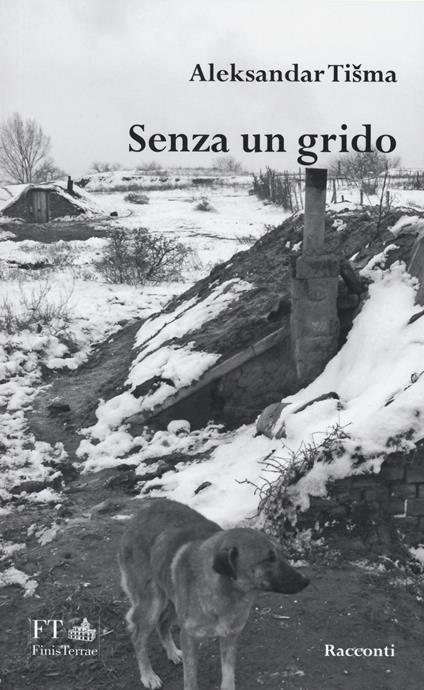 Senza un grido - Aleksandar Tisma - copertina