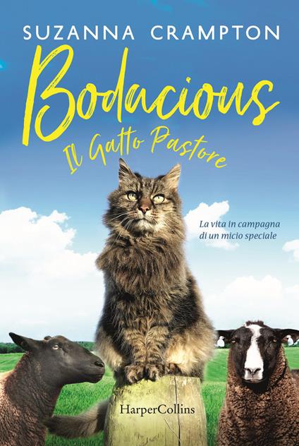 Bodacious. Il gatto pastore - Suzanna Crampton - copertina