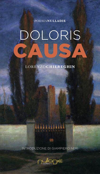 Doloris causa - Lorenzo Chiereghin - copertina