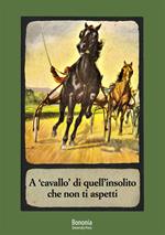 A «cavallo» di quell'insolito che non ti aspetti. Il racconto breve della Collezione Martini