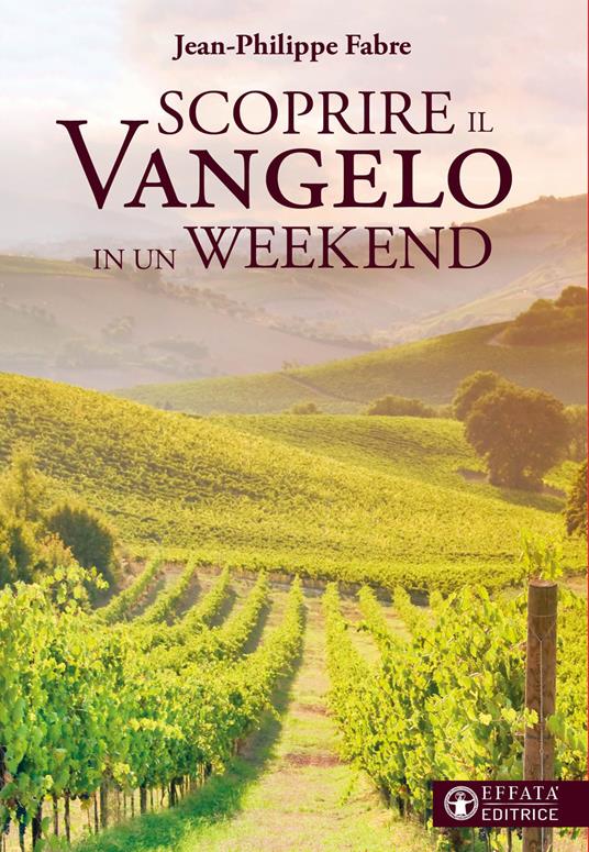 Scoprire il vangelo in un weekend - Jean-Philippe Fabre - copertina