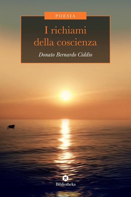 I richiami della coscienza - Donato Bernardo Ciddio - copertina
