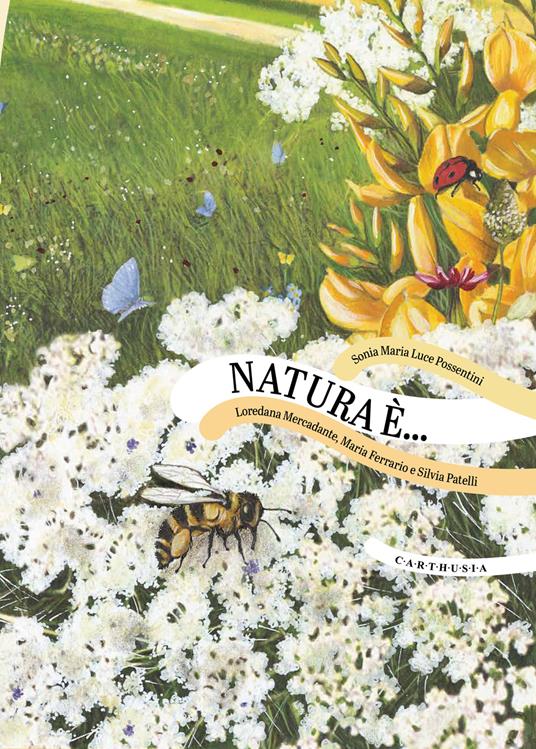 Natura è... - Possentini,Mercadante - copertina