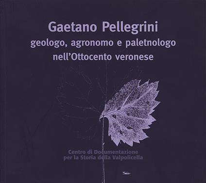 Gaetano Pellegrini geologo, agronomo e paletnologo nell'Ottocento veronese. Atti del Convegno - copertina