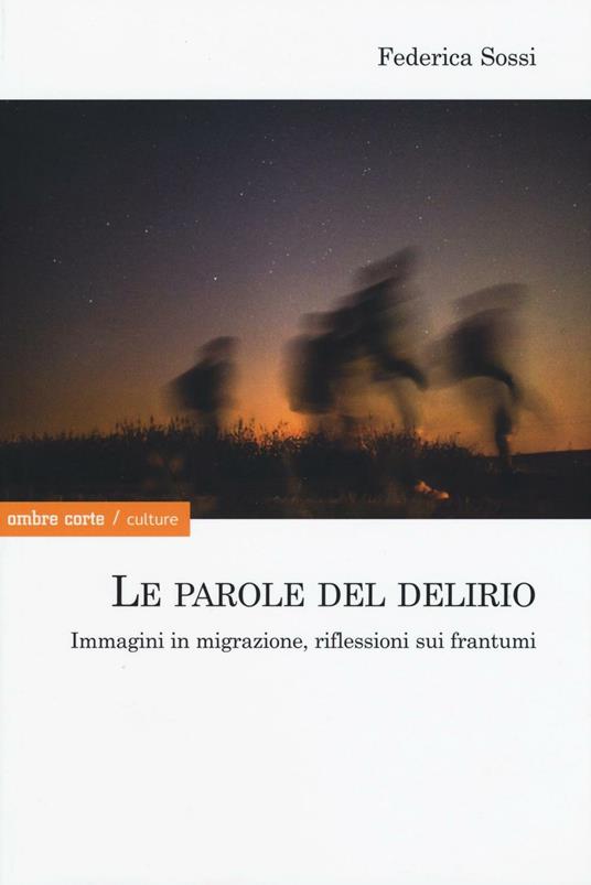 Le parole del delirio. Immagini in migrazione, riflessioni sui frantumi - Federica Sossi - copertina