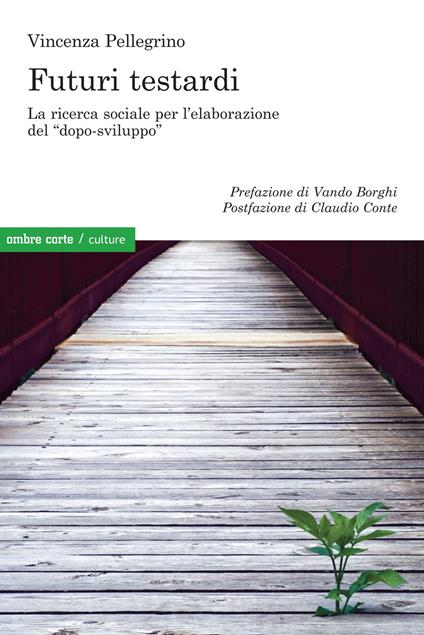 Futuri testardi. La ricerca sociale per l’elaborazione del «dopo-sviluppo» - Vincenza Pellegrino - copertina