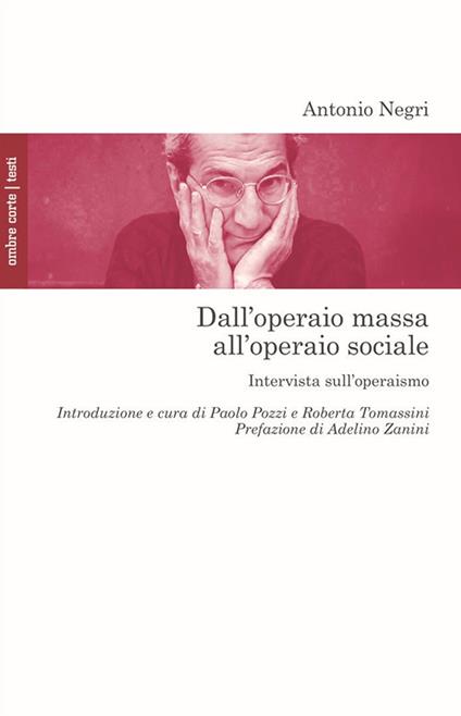 Dall'operaio massa all'operaio sociale. Intervista sull'operaismo - Antonio Negri - copertina