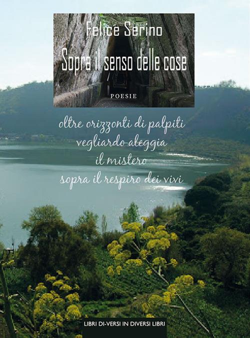 Sopra il senso delle cose - Felice Serino - copertina