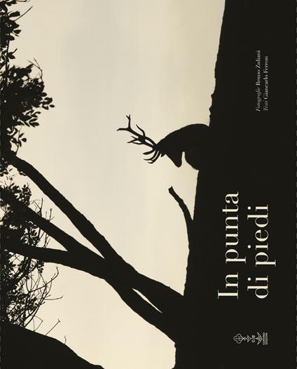 In punta di piedi. Ediz. illustrata - Bruno Zuliani - copertina