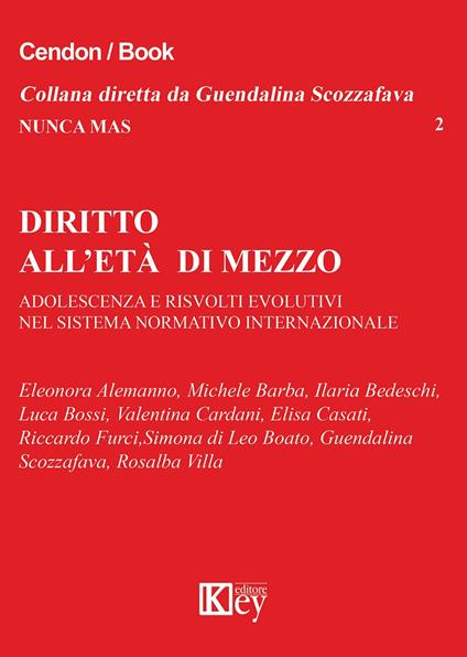Diritto all'età di mezzo. Adolescenza e risvolti evolutivi nel sistema normativo internazionale - copertina