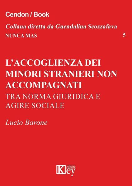 L' accoglienza dei minori stranieri non accompagnati. Tra norma giuridica e agire sociale - Lucio Barone - copertina