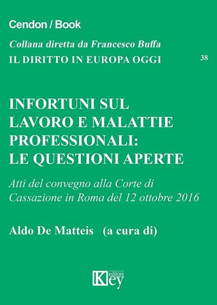 Infortuni sul lavoro e malattie professionali. Le questioni aperte - AA.VV. - ebook