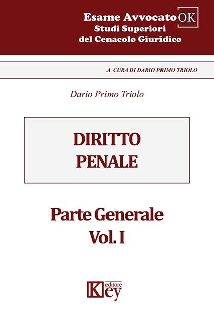Diritto penale - Dario Primo Triolo - ebook