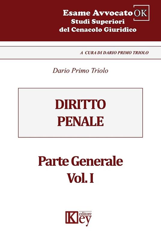 Diritto penale - Dario Primo Triolo - ebook