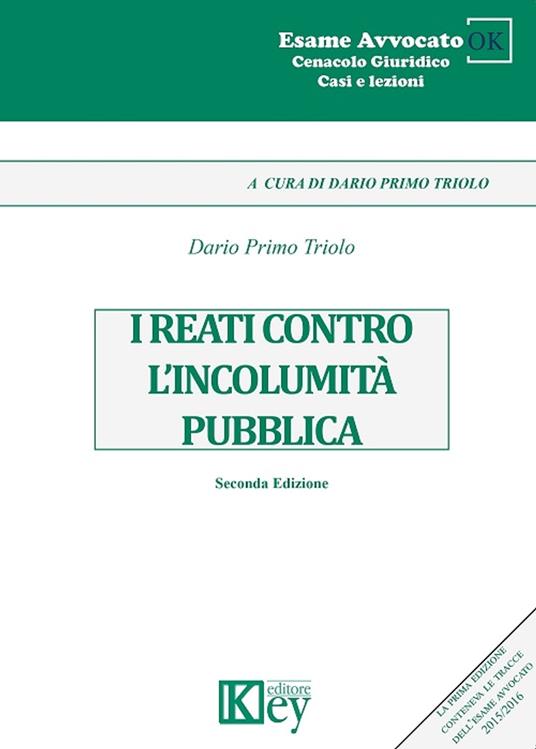 I reati contro l’incolumità pubblica - Dario Primo Triolo - ebook
