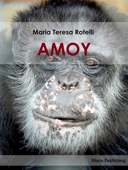 Amoy - Maria Teresa Rotelli - ebook