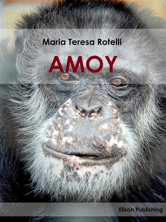 Amoy - Maria Teresa Rotelli - ebook