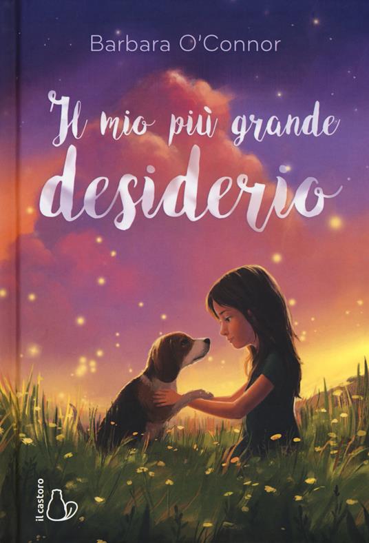 Il mio più grande desiderio - Barbara O'Connor - copertina